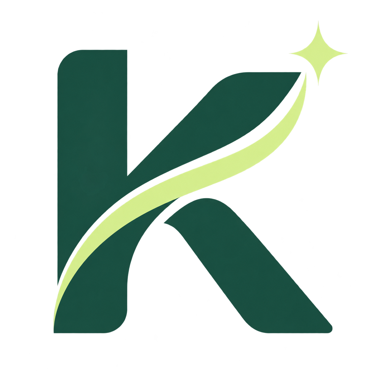 Kayseri Temizlik Şirketi logosu